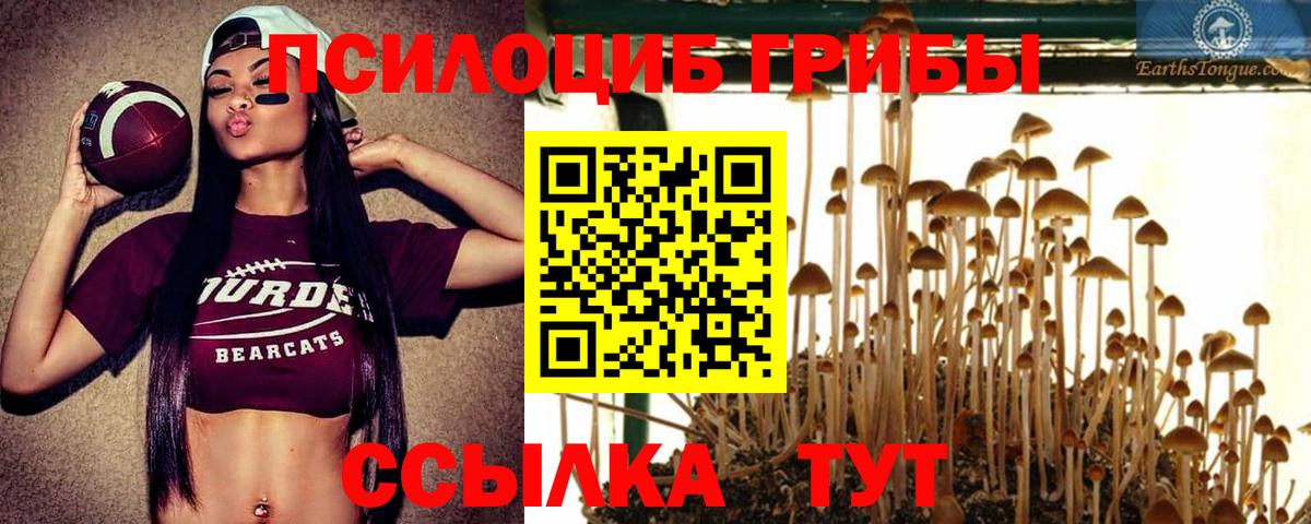 Рязань  наркотики  Вход с VPN  Галлюциногенные грибы мухоморы 